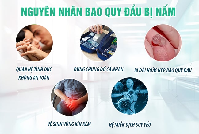 Các nguyên nhân phổ biến dẫn đến bao quy đầu bị nấm 