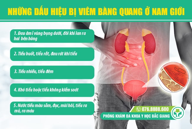Những biểu hiện của viêm bàng quan ở nam giới