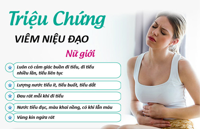 Các triệu chứng thường gặp viêm niệu đạo ở nữ giới