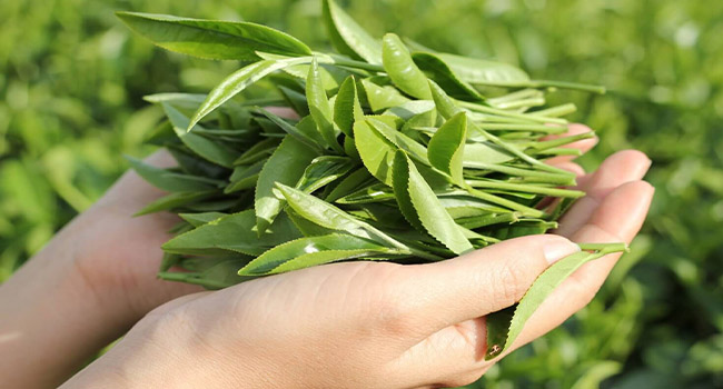 Phòng khám Đa khoa Y học Bắc Giang