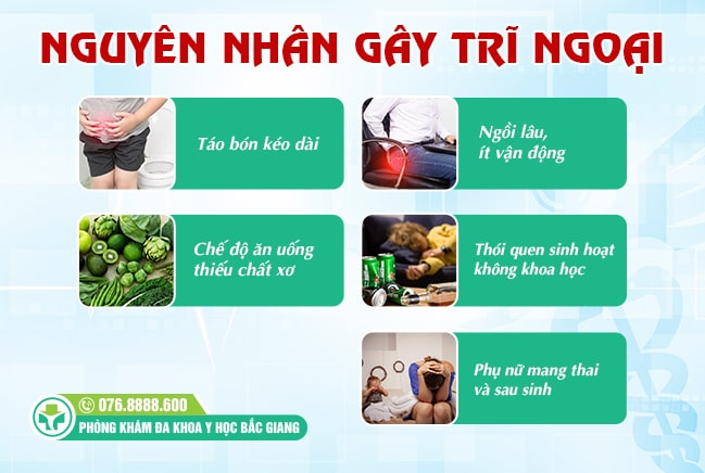 Những nguyên nhân gây trĩ ngoại