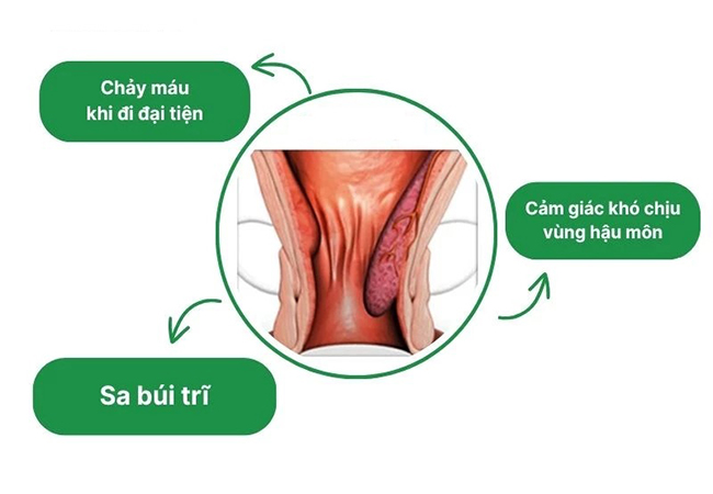 Phòng khám Đa khoa Y học Bắc Giang
